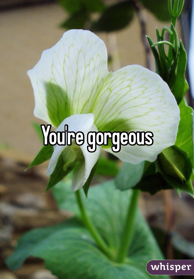 You're gorgeous 