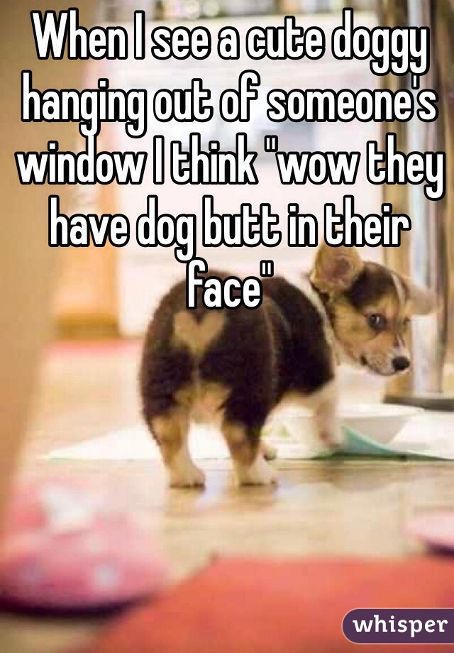 When I see a cute doggy hanging out of someone's window I think "wow they have dog butt in their face"