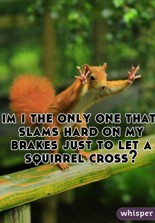 im i the only one that slams hard on my brakes just to let a squirrel cross?