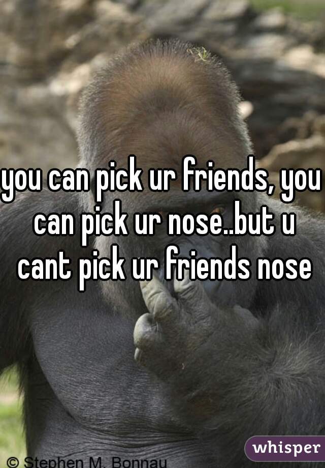 you can pick ur friends, you can pick ur nose..but u cant pick ur friends nose
