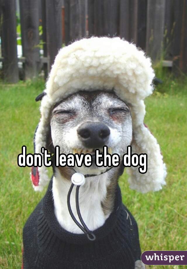 don't leave the dog 