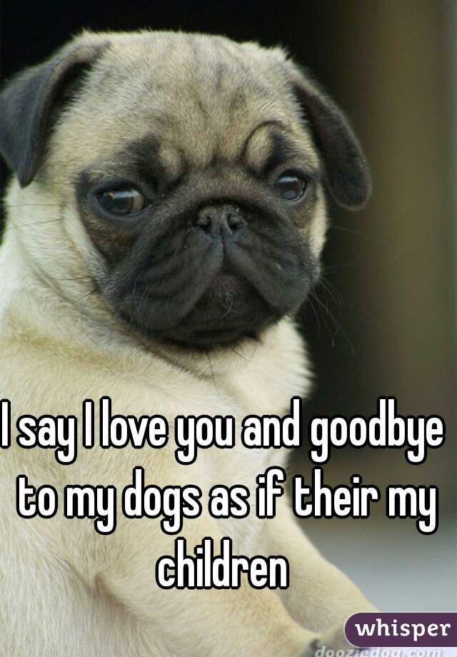 I say I love you and goodbye to my dogs as if their my children 