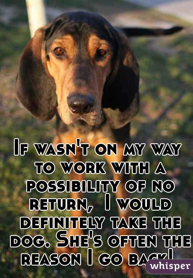 If wasn't on my way to work with a possibility of no return,  I would definitely take the dog. She's often the reason I go back! 