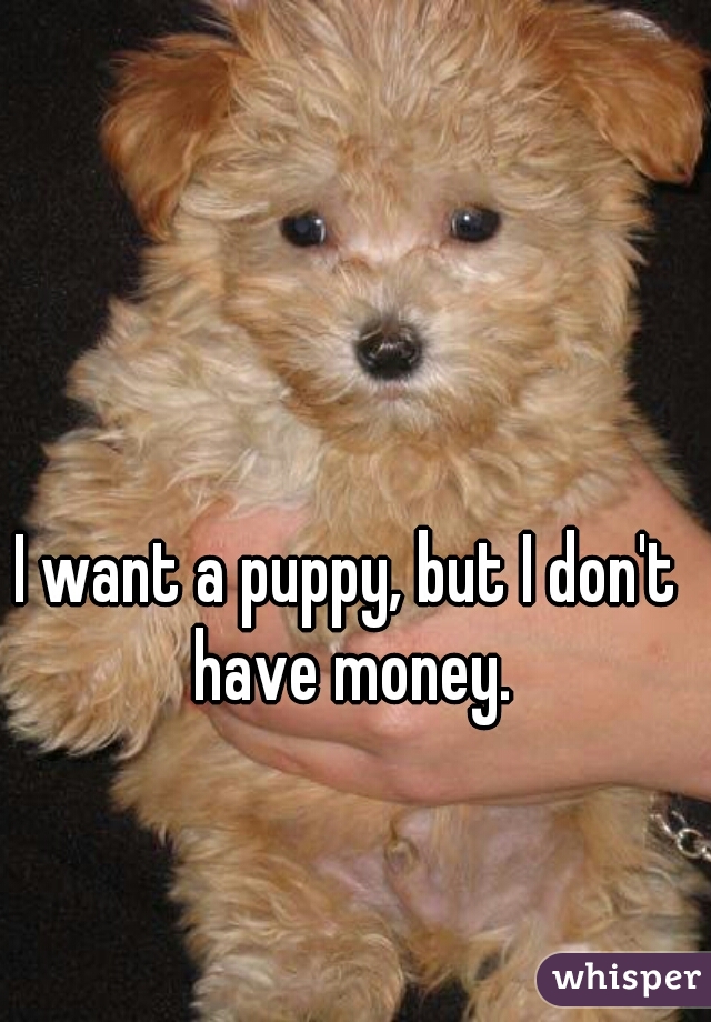 I want a puppy, but I don't have money.