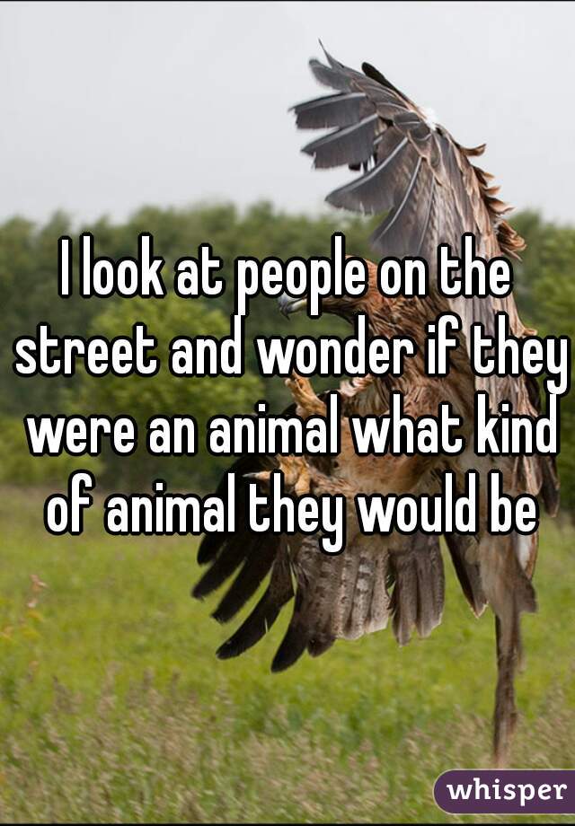 I look at people on the street and wonder if they were an animal what kind of animal they would be