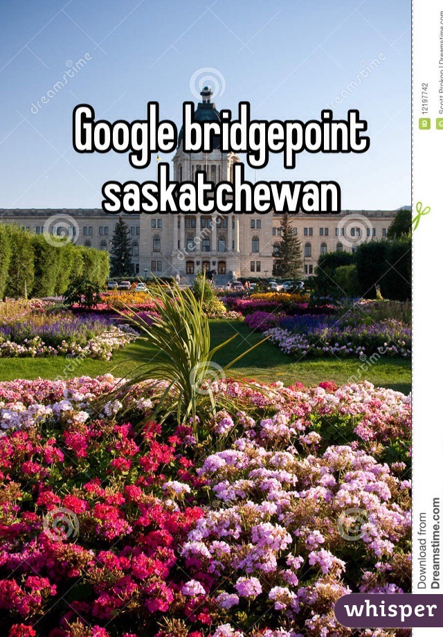 Google bridgepoint saskatchewan