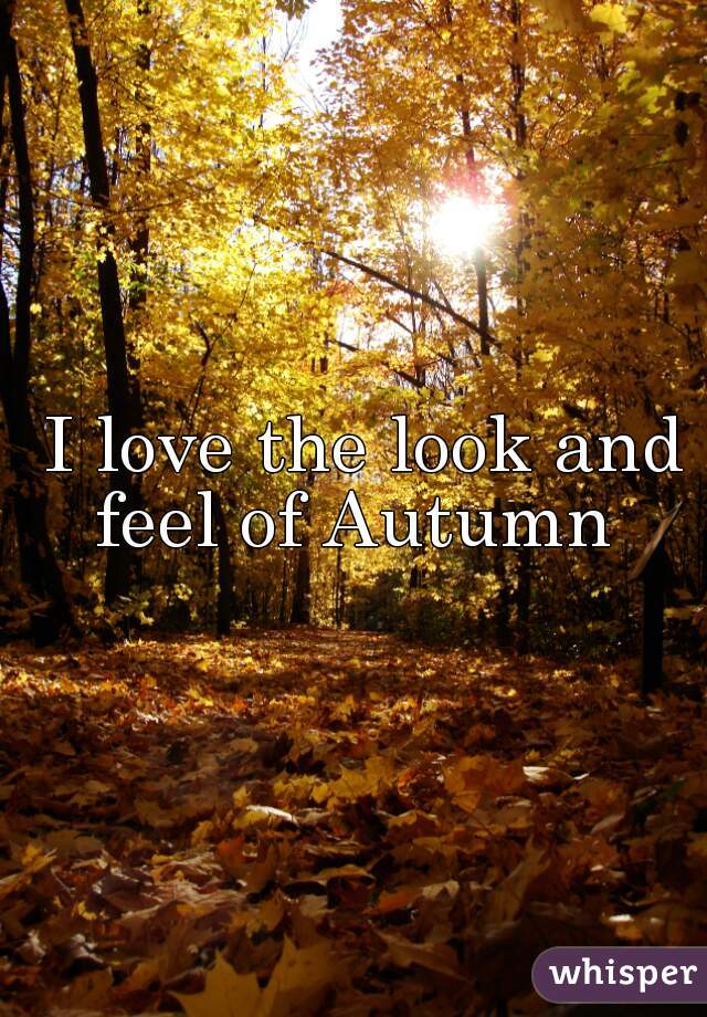  I love the look and feel of Autumn 