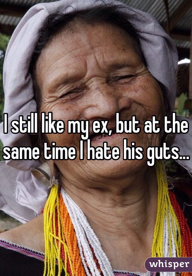 I still like my ex, but at the same time I hate his guts...