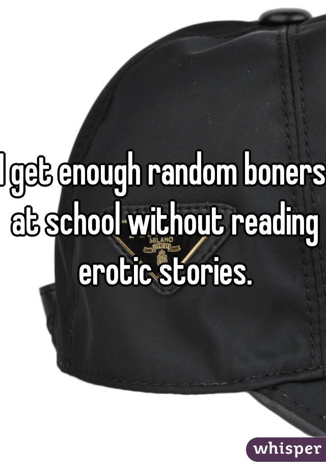 I get enough random boners at school without reading erotic stories.