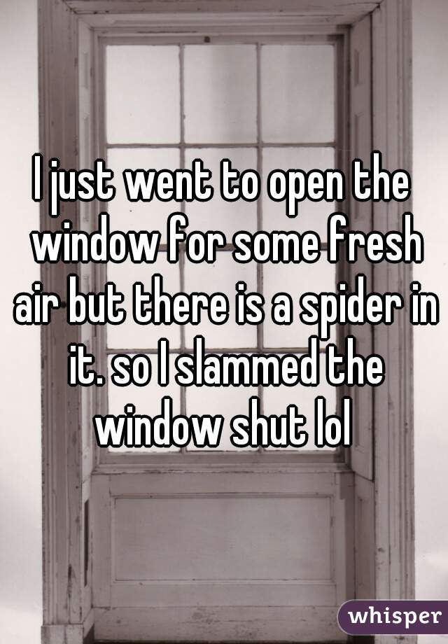 I just went to open the window for some fresh air but there is a spider in it. so I slammed the window shut lol 