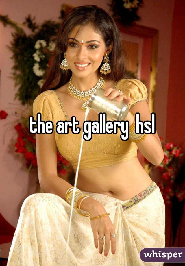 the art gallery  hsl
