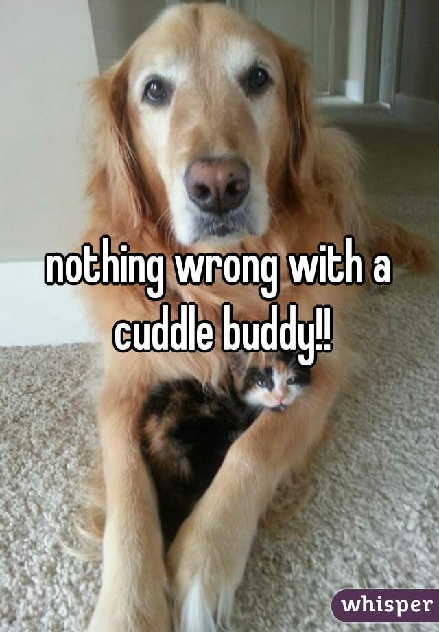 nothing wrong with a cuddle buddy!!