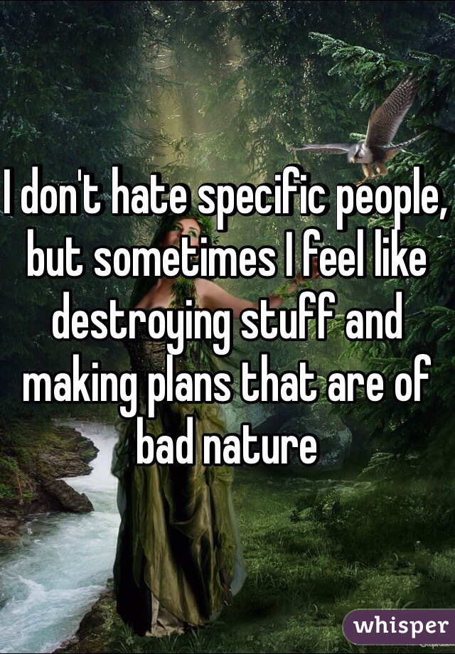 I don't hate specific people, but sometimes I feel like destroying stuff and making plans that are of bad nature