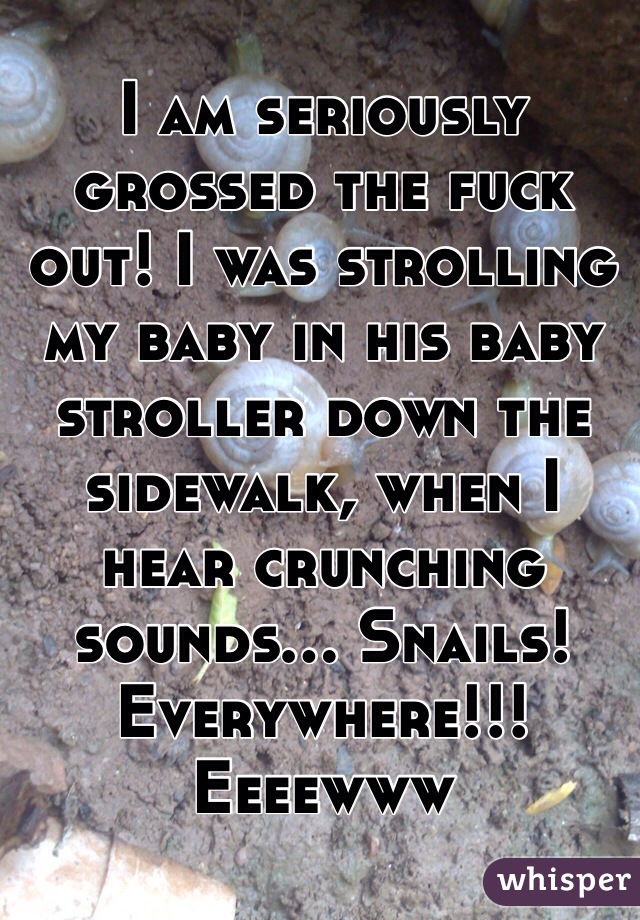 I am seriously grossed the fuck out! I was strolling my baby in his baby stroller down the sidewalk, when I hear crunching sounds... Snails! Everywhere!!! Eeeewww