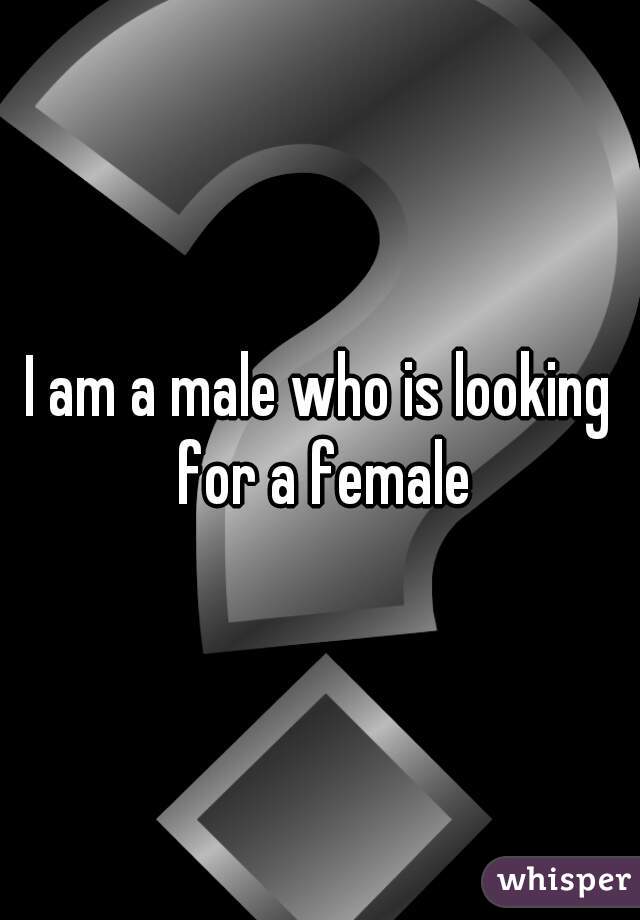 I am a male who is looking for a female