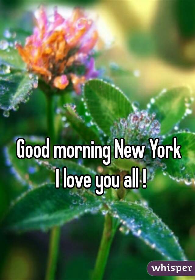 Good morning New York
 I love you all !