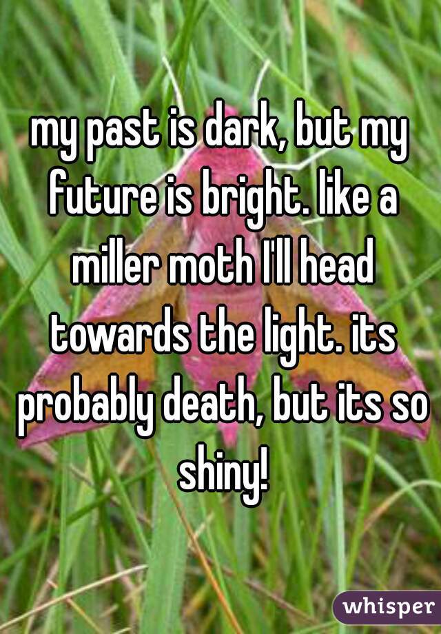 my past is dark, but my future is bright. like a miller moth I'll head towards the light. its probably death, but its so shiny!