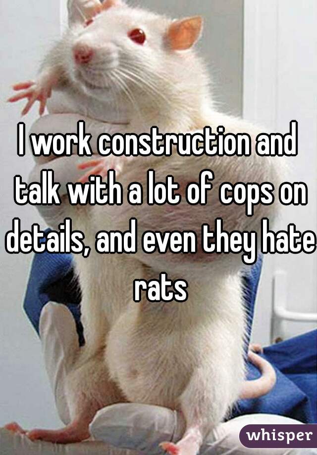 I work construction and talk with a lot of cops on details, and even they hate rats