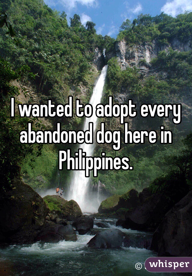 I wanted to adopt every abandoned dog here in Philippines.
