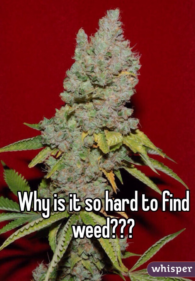 Why is it so hard to find weed???