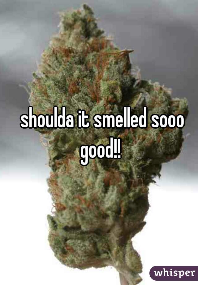   shoulda it smelled sooo good!!