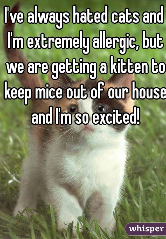 I've always hated cats and I'm extremely allergic, but we are getting a kitten to keep mice out of our house and I'm so excited!