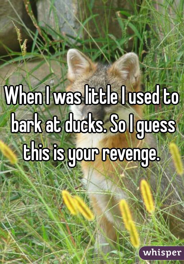 When I was little I used to bark at ducks. So I guess this is your revenge. 