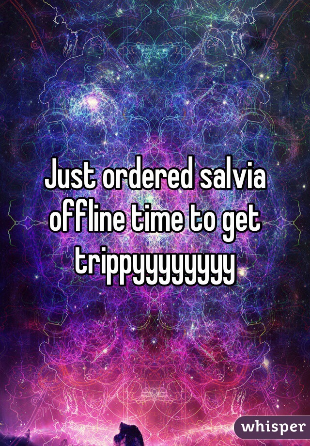 Just ordered salvia offline time to get trippyyyyyyyy