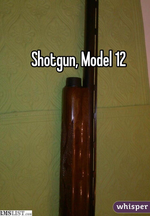 Shotgun, Model 12
