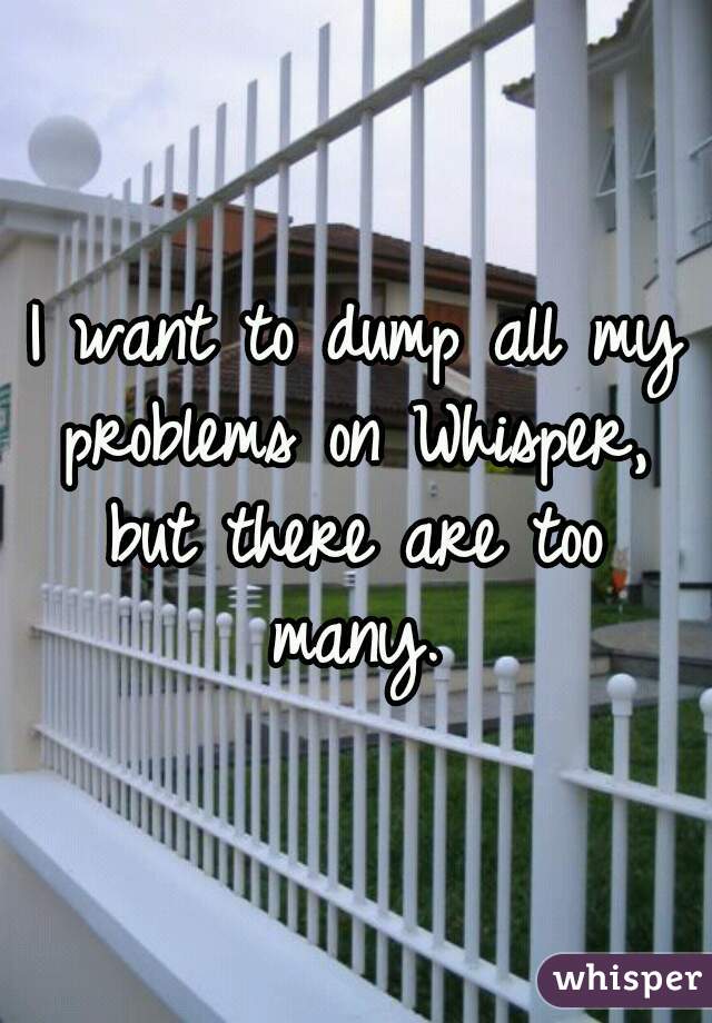 I want to dump all my problems on Whisper, but there are too many.