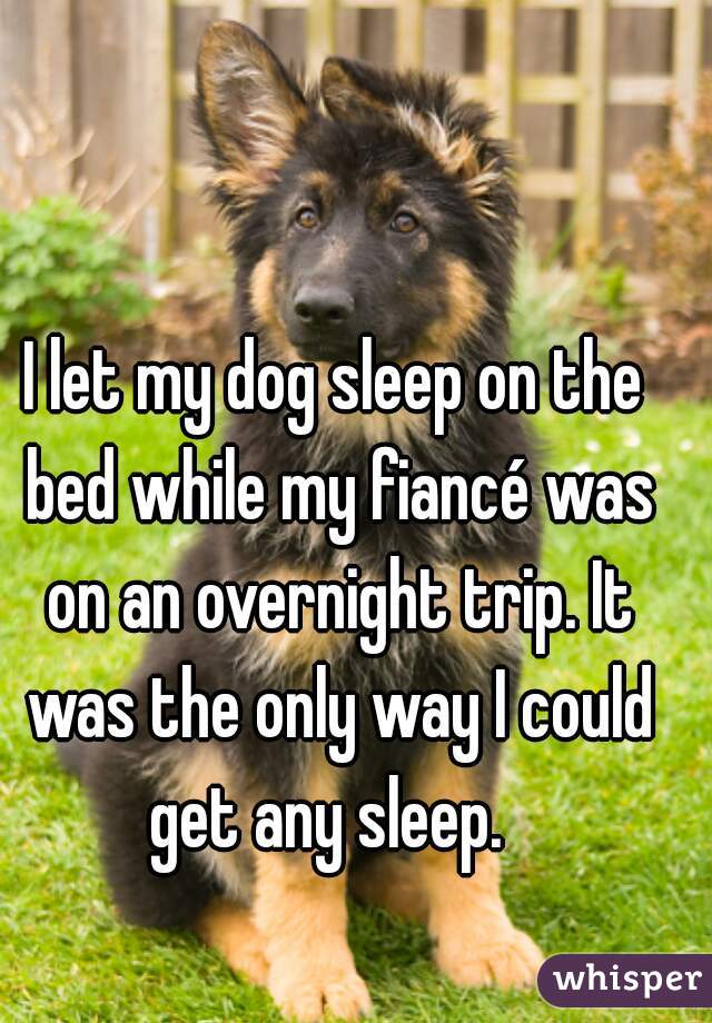 I let my dog sleep on the bed while my fiancé was on an overnight trip. It was the only way I could get any sleep.  