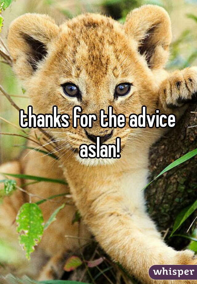 thanks for the advice aslan!