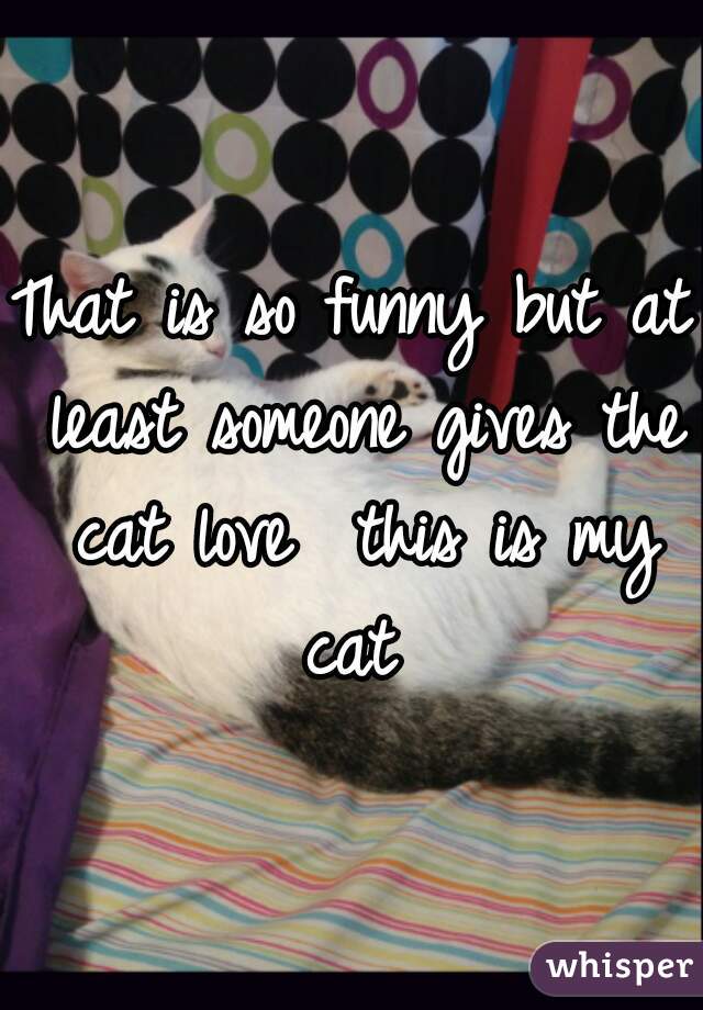 That is so funny but at least someone gives the cat love  this is my cat 