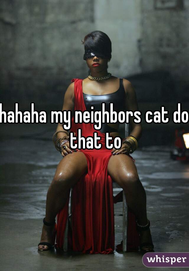 hahaha my neighbors cat do that to