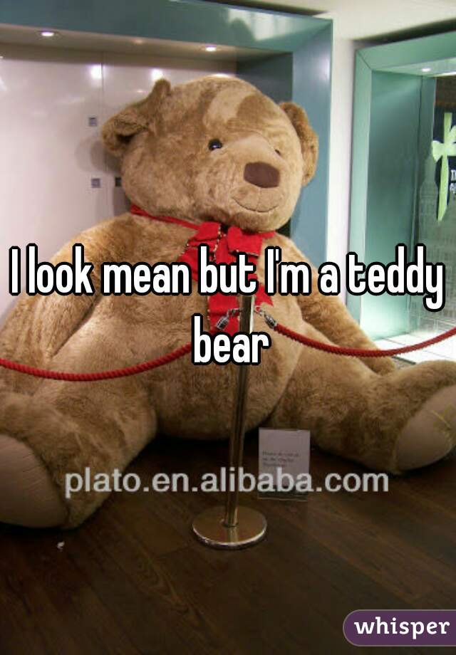 I look mean but I'm a teddy bear