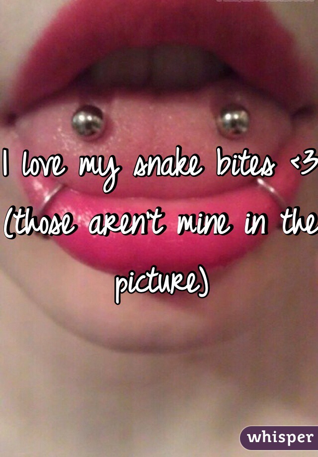 I love my snake bites <3 (those aren't mine in the picture)