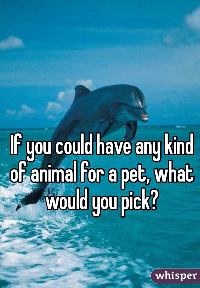 If you could have any kind of animal for a pet, what would you pick?