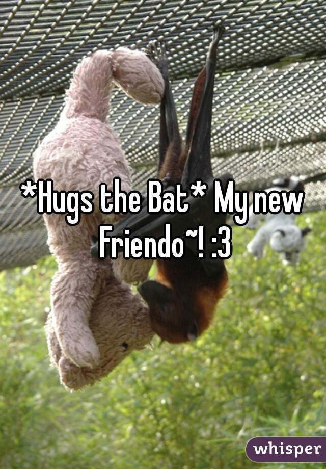 *Hugs the Bat* My new Friendo~! :3