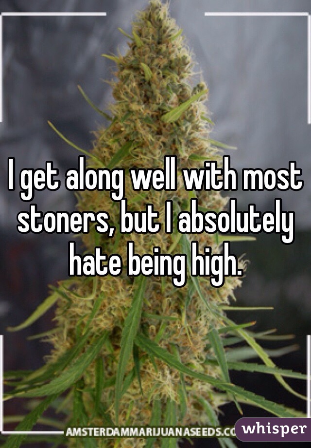 I get along well with most stoners, but I absolutely hate being high.