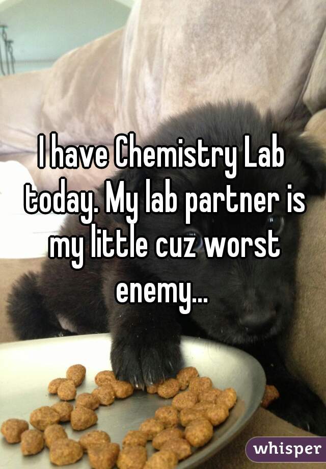 I have Chemistry Lab today. My lab partner is my little cuz worst enemy... 