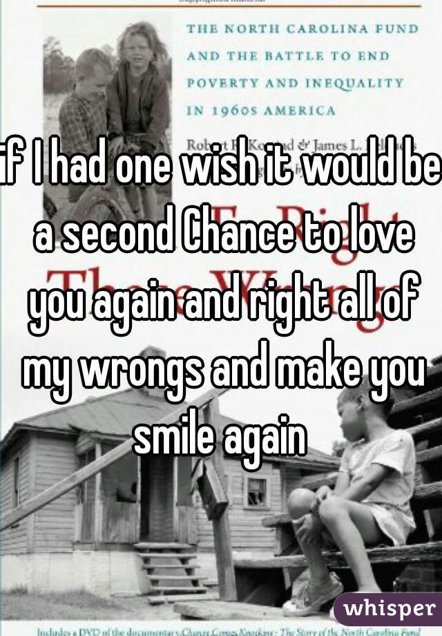 if I had one wish it would be a second Chance to love you again and right all of my wrongs and make you smile again 