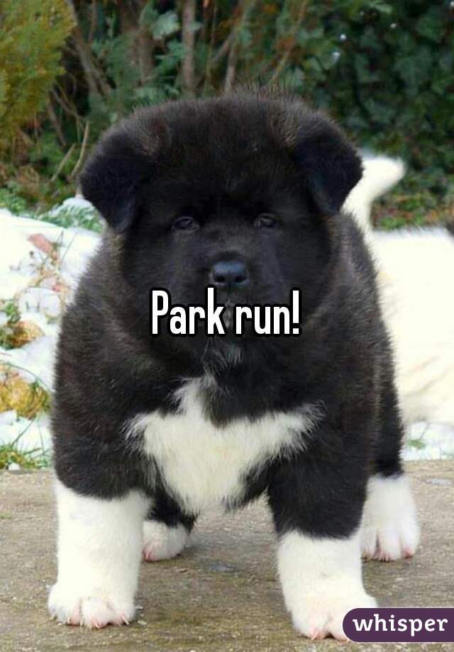 Park run!