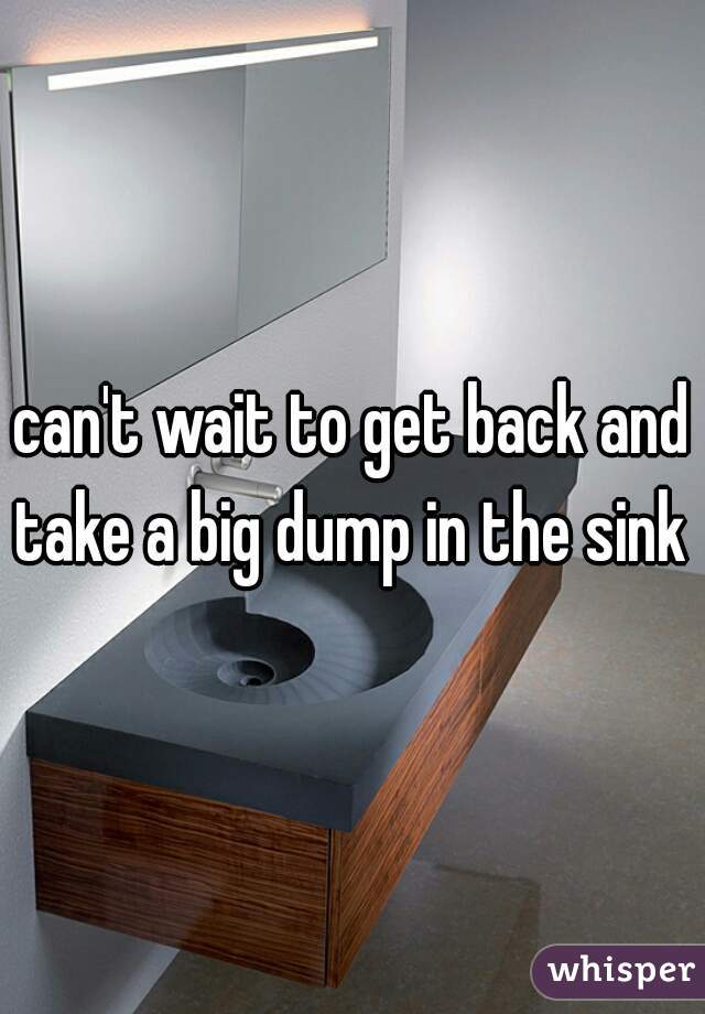 can't wait to get back and take a big dump in the sink 