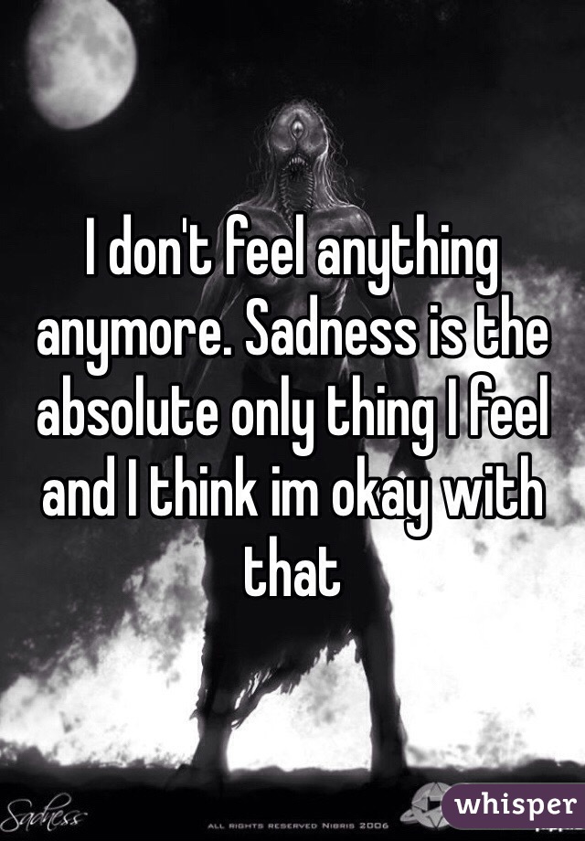 I don't feel anything anymore. Sadness is the absolute only thing I feel and I think im okay with that 
