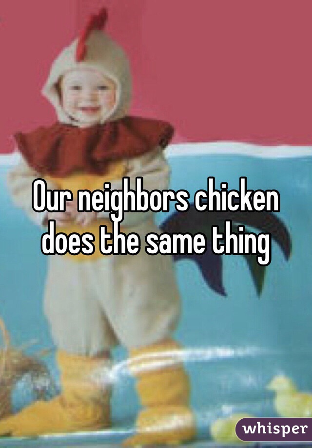 Our neighbors chicken does the same thing