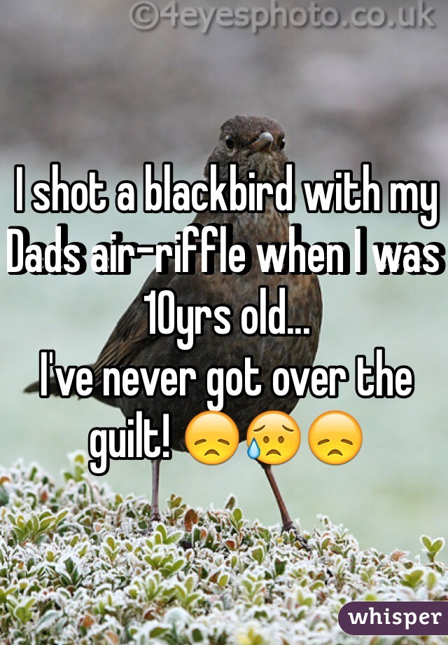 I shot a blackbird with my Dads air-riffle when I was 10yrs old... 
I've never got over the guilt! 😞😥😞