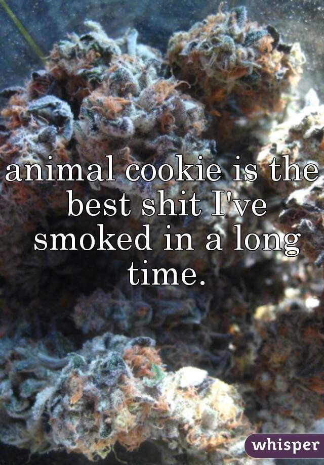 animal cookie is the best shit I've smoked in a long time.