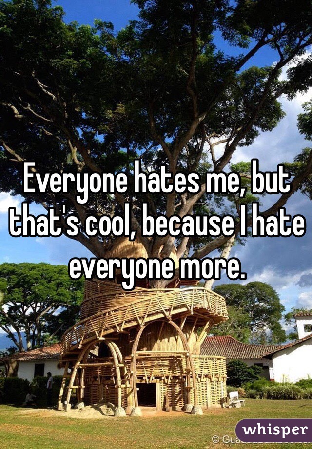 Everyone hates me, but that's cool, because I hate everyone more.