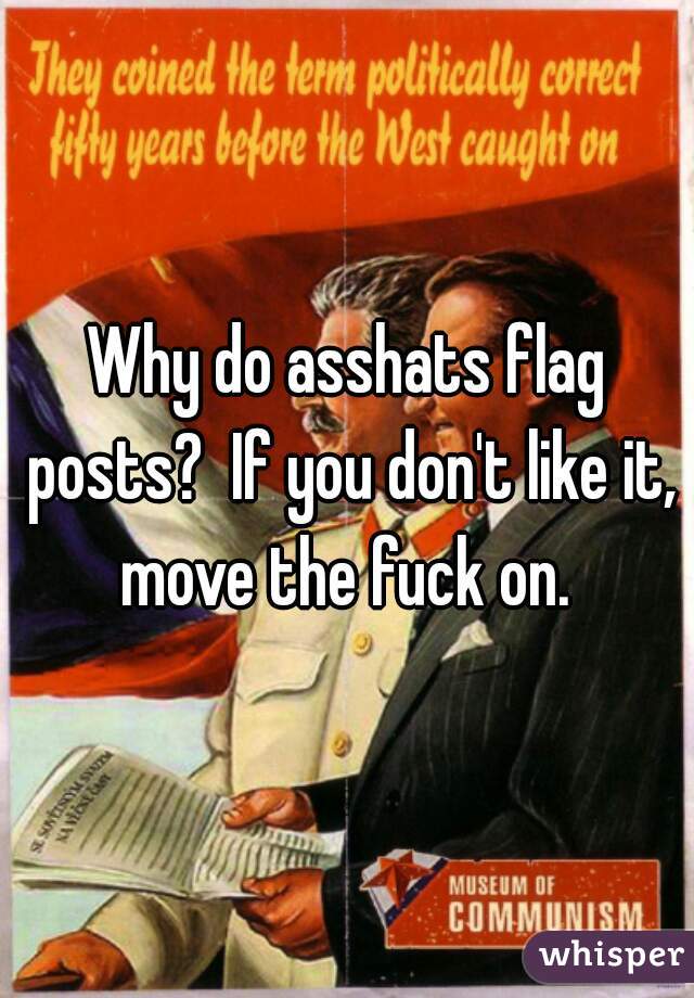 Why do asshats flag posts?  If you don't like it, move the fuck on. 