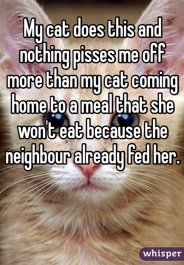 My cat does this and nothing pisses me off more than my cat coming home to a meal that she won't eat because the neighbour already fed her.